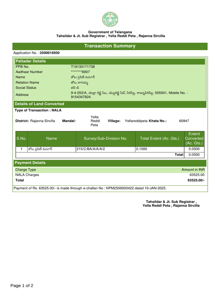 Transaction Summary For Nala | PDF