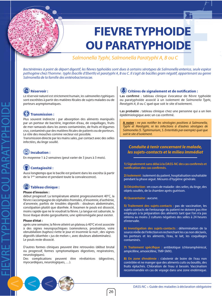 Antibiotiques pour fièvre typhoïde | PDF | Salmonelle | Médecine