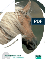 Guía salud caballo