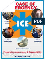Official ICE Poster 1