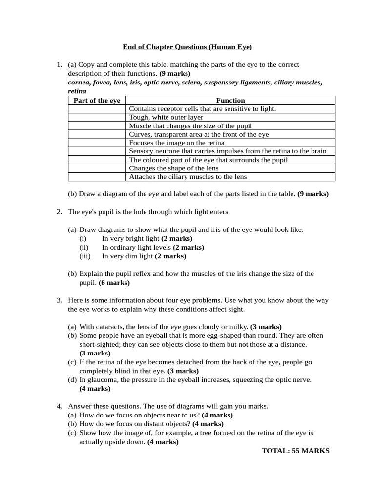 Human Eye: Functions and Diagram Questions | PDF