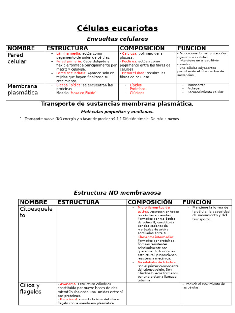 Estructura y función de células eucariotas | PDF | Mitocondria ...