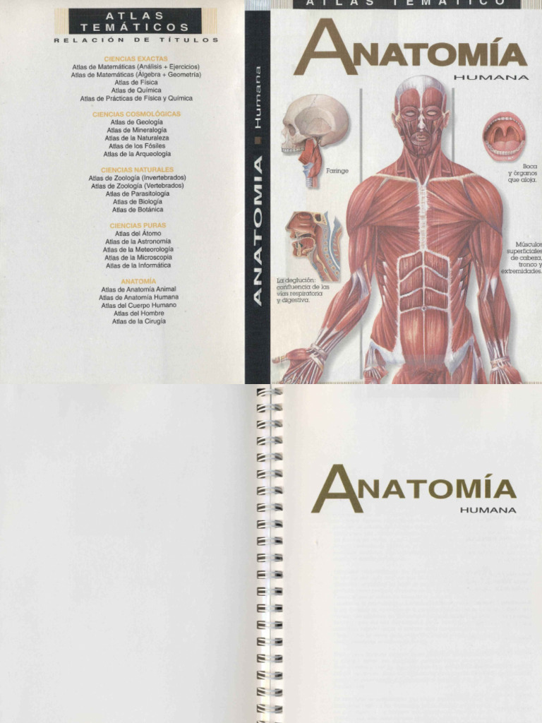 Atlas Tematico de Anatomia Humana | PDF