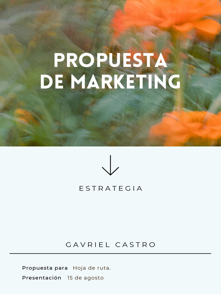 Estrategia de Marketing en Redes Sociales | PDF | Moda | Facebook