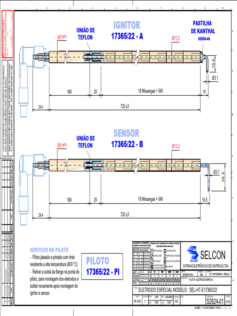 Eletrodo Selcon 17365-22 Pi Desenho Xs - s2624!01!17365 - Model | PDF