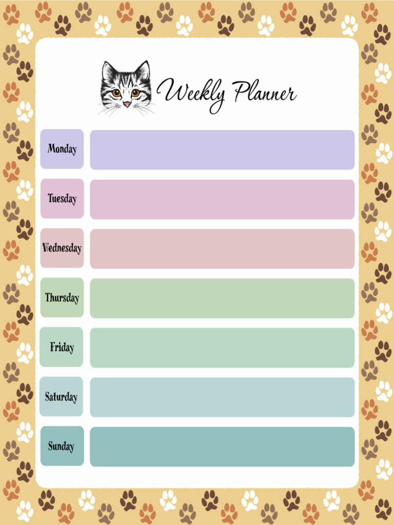 Cat Planner 1 | PDF