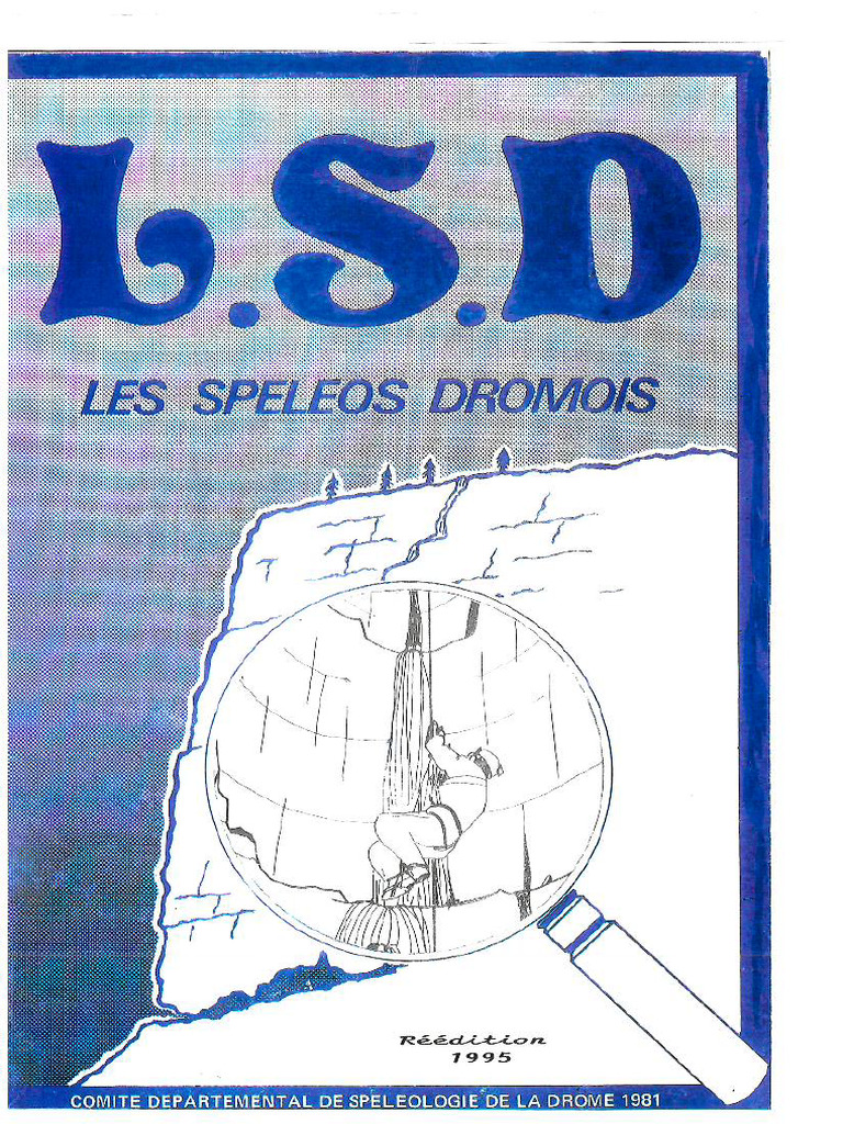 LSD N°1 Web | PDF