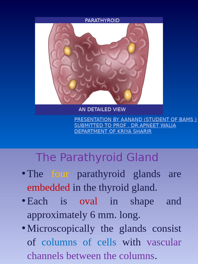 Understanding Parathyroid Function | PDF
