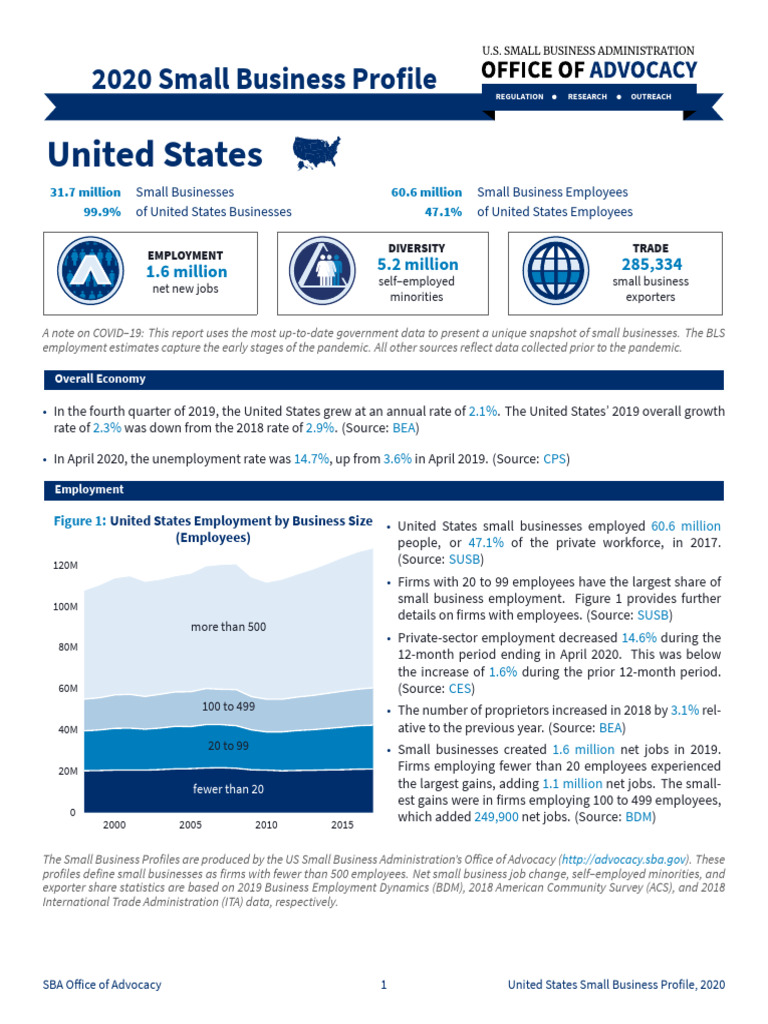 2020 Small Business Economic Profile US | PDF | Race And Ethnicity In ...