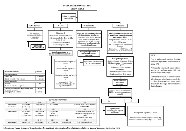 Manejo del Pie Diabético Infectado | PDF | Medicina CLINICA | Causas de ...