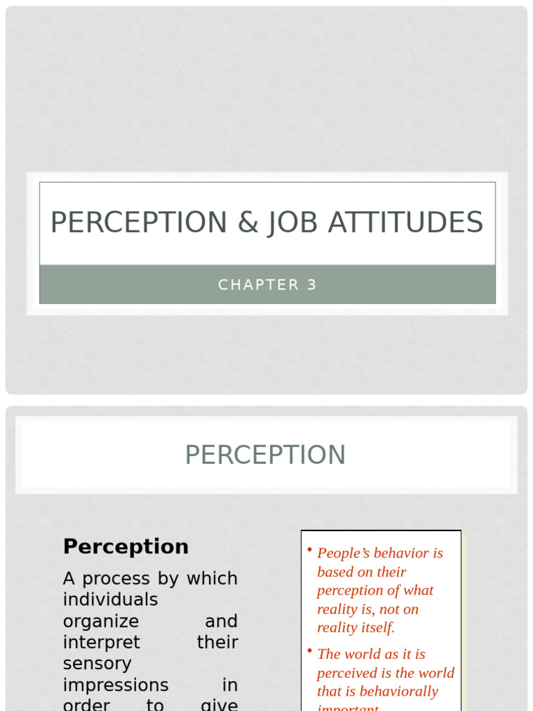 Chapter 3 - Perception & Job Attitdues | PDF | Attitude (Psychology ...