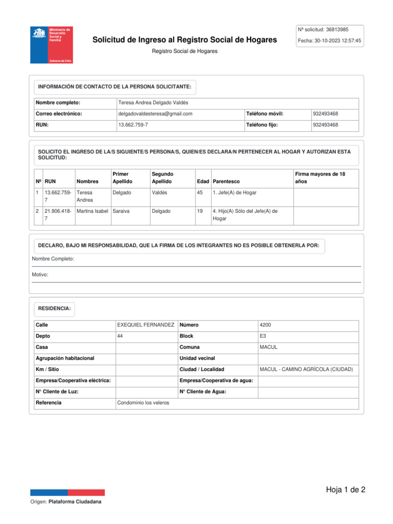 Formulario - 1 - 2024 10 01 204803 | PDF