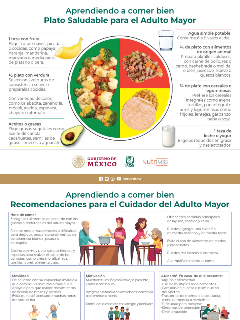 Guía de Alimentación Saludable para Adultos Mayores | PDF | Alimentos ...