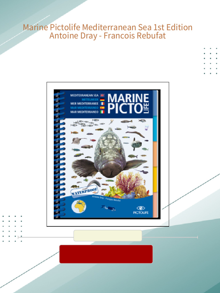 Stencil Da Parete Riutilizzabile - Numeri Times Roman 70mm, Modello Repetitive - Foto 3