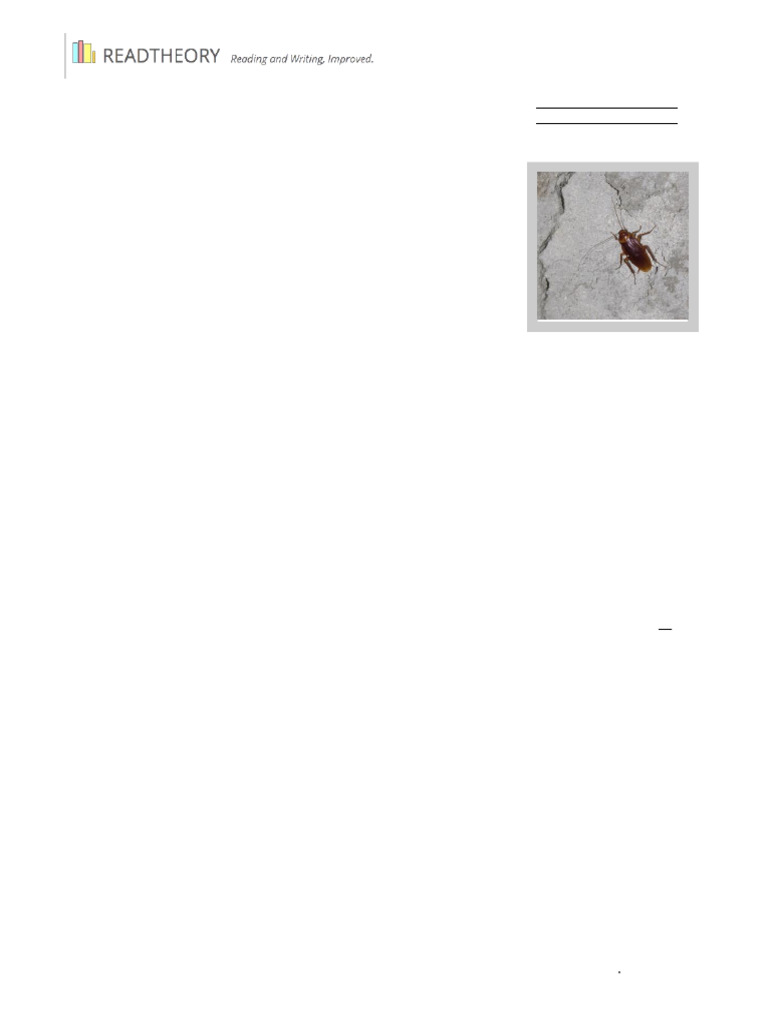 7th Grade Considering Cockroaches All | PDF | Pet | Dogs
