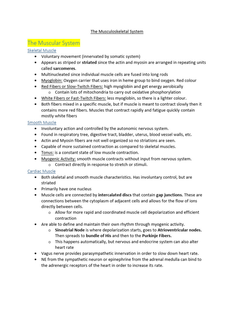 The Musculoskeletal System Pdf Bone Muscle Contraction