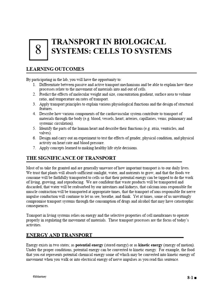Chapter+8.Cellular+Transport | PDF | Heart | Blood Pressure