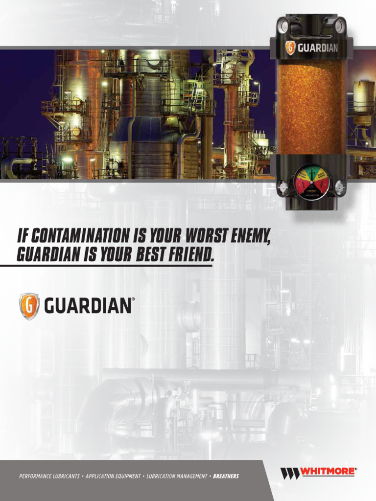 Guardian | PDF