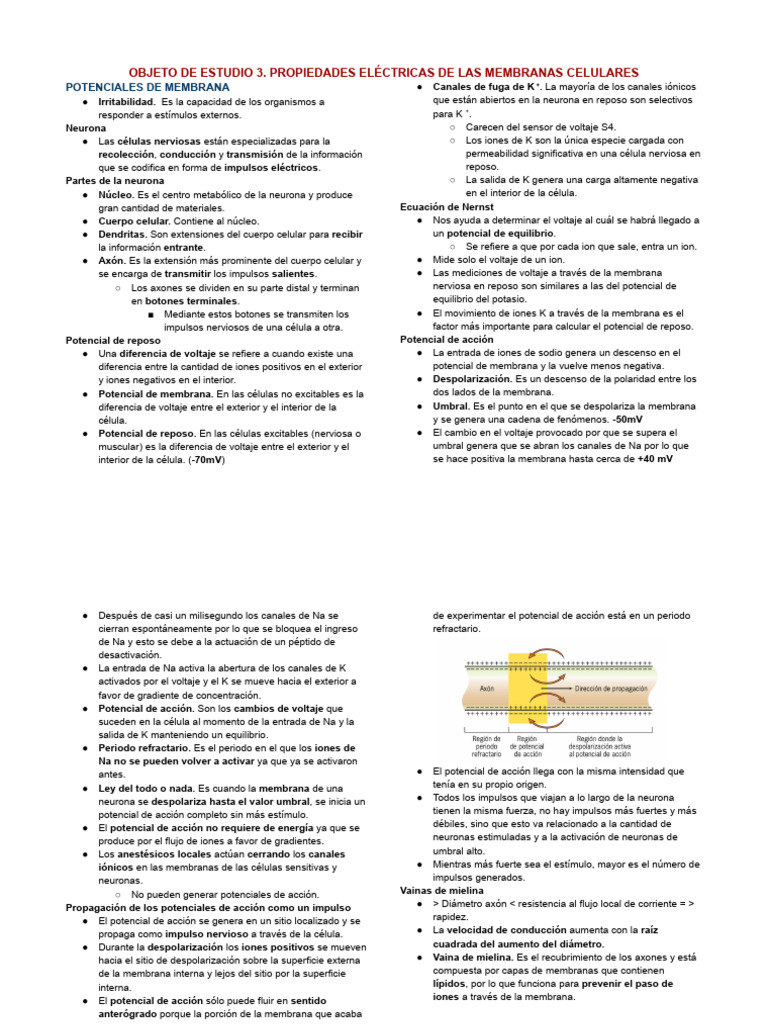 PARCIAL 2 BIOFÍSICA (1) | PDF | Sinapsis | Potencial de acción