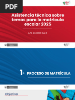 Lanzamiento del Sistema MIPE Académico | PDF | Experiencia de usuario ...