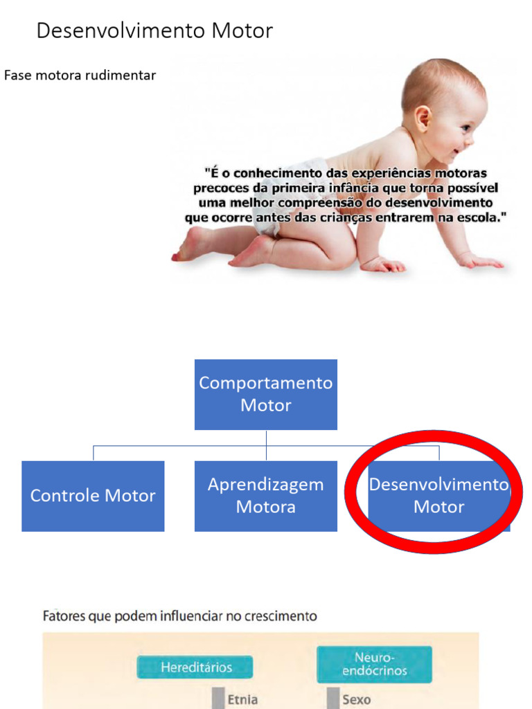 Fase Motora Rudimentar: Desenvolvimento Inicial | PDF | Aprendizado ...