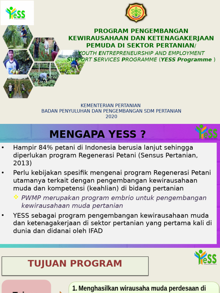 Program YESS: Kewirausahaan Pemuda Pertanian | PDF
