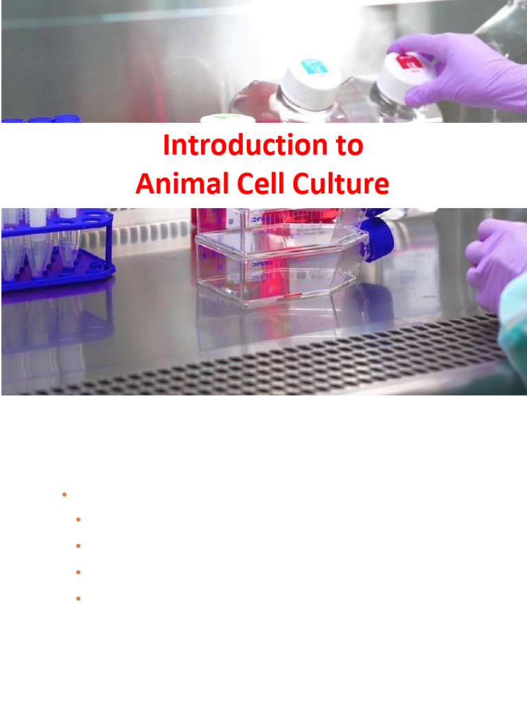 Introduction to Animal Cell Culture | PDF | Cell Culture | Metabolism