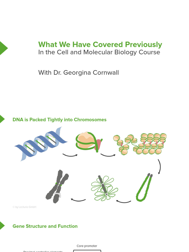 Slides 02 Cell and Molecular Biology IntroductionToMedicalGenetics ...