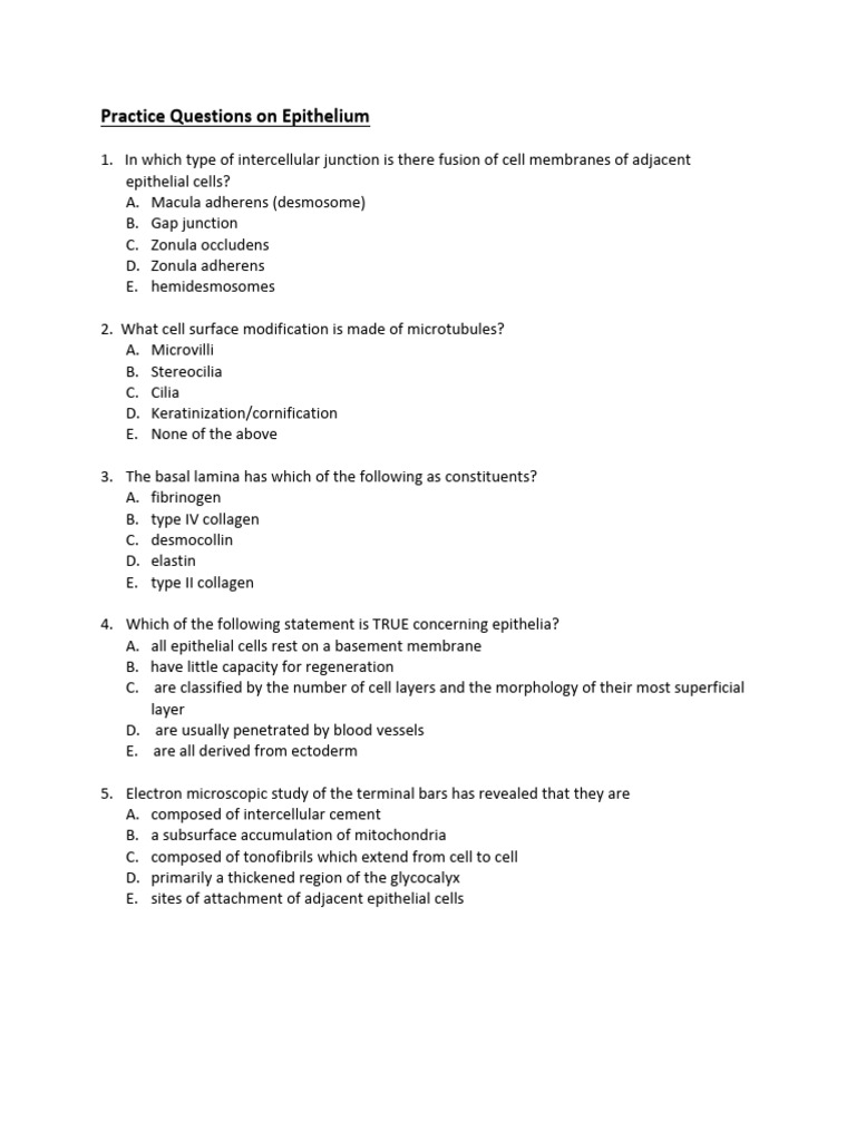 Practice questions on epithelium dr moore pdf epithelium cell