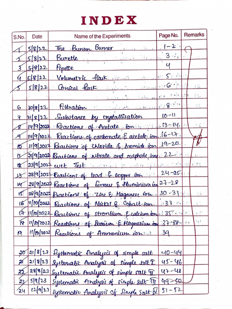 Chemistry Record Model For Reference | PDF