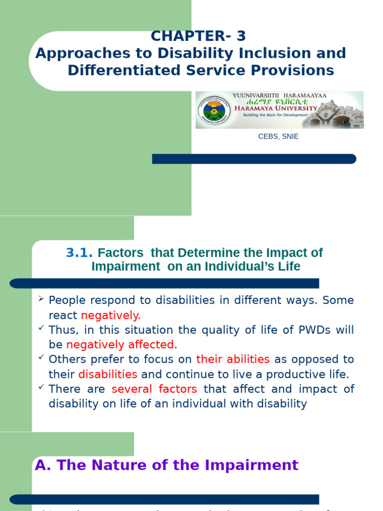 Disability Inclusion Factors Explained | PDF | Self Efficacy | Disability