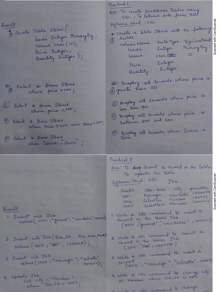 X It Practical File 1 Pdf Spreadsheet Software