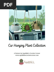 CarHangingPlantPattern