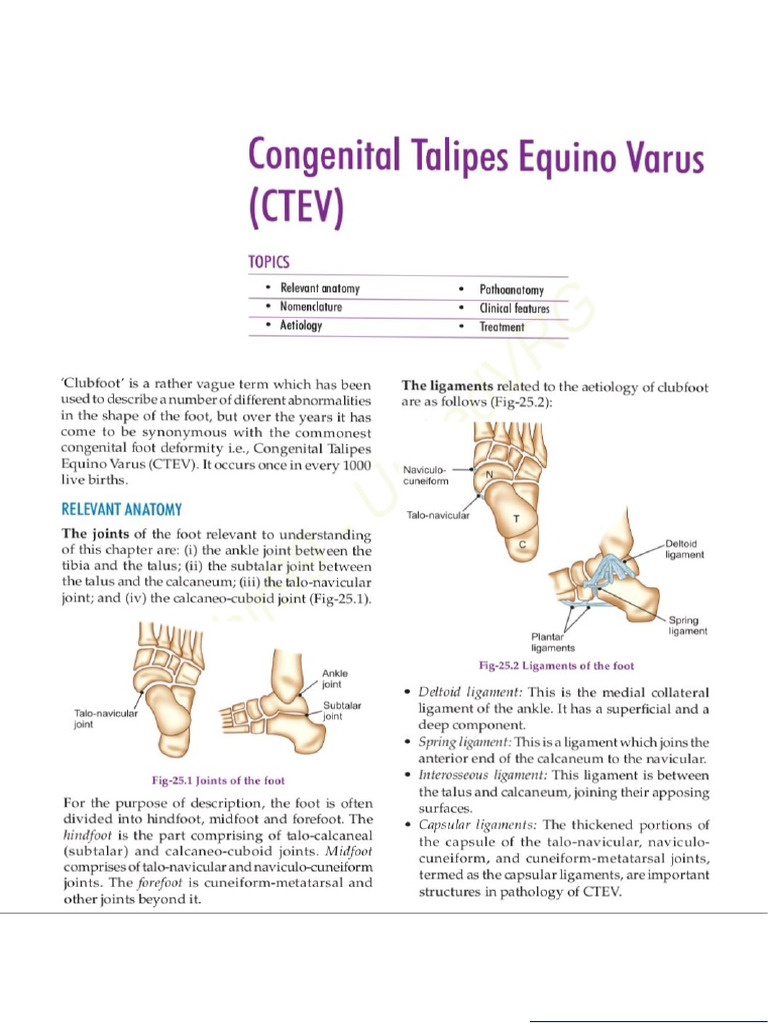 CTEV | PDF