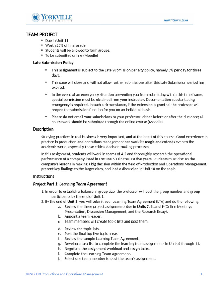 Team Project Guidelines for Operations Management | PDF | Internet ...
