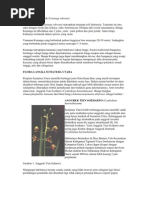 Download Flora Oriental Is by Kimp Hermawan SN81436472 doc pdf