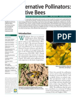 Alternative Pollinators Native Bees