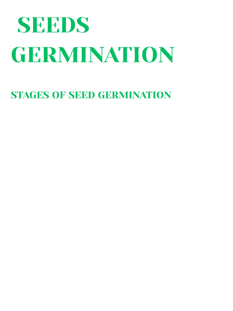 Seeds Germination PDF | PDF
