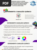 Experimento do Camaleão Químico | PDF | Reações químicas | Química