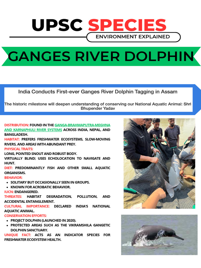 Ganges River Dolphin | PDF