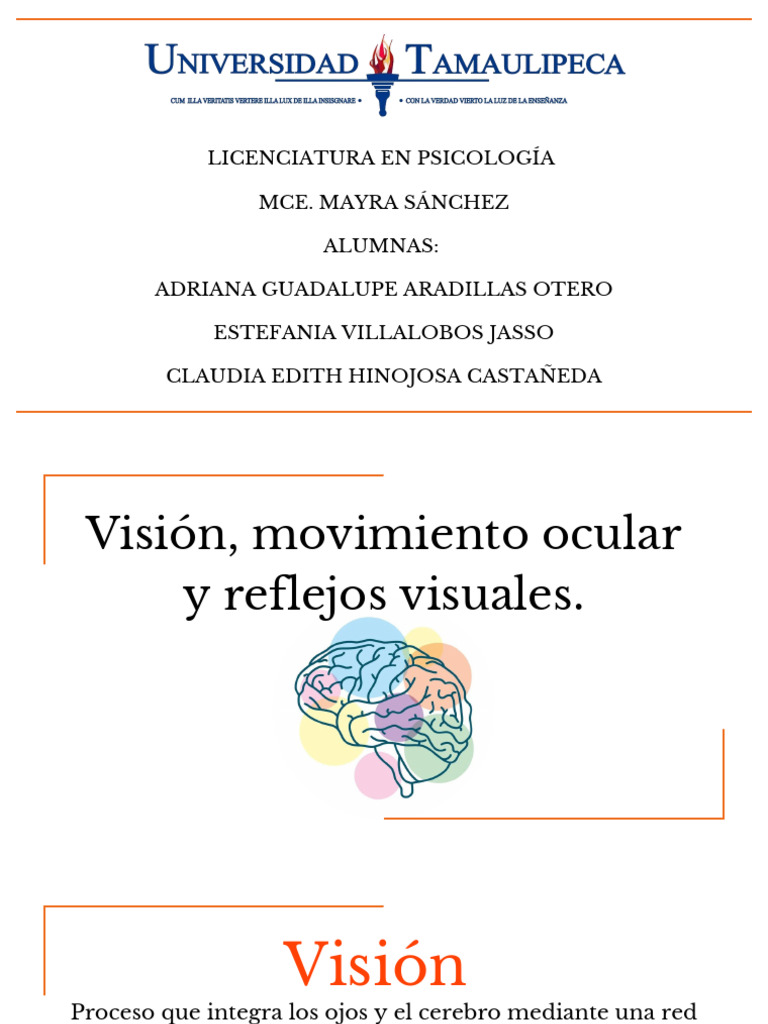 Reflejos Visuales y Movimientos Oculares | PDF | Ojo humano ...