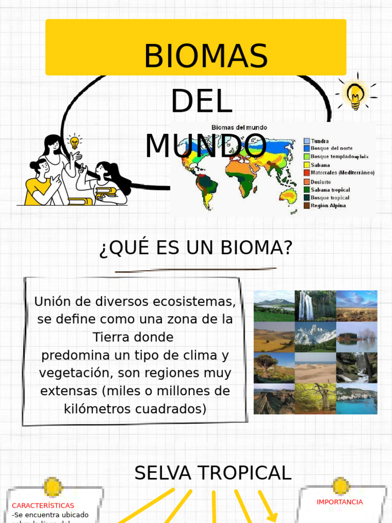 Biomas Del Mundo | PDF | Selva | Desierto