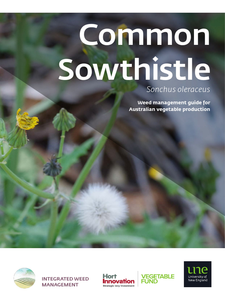 Une Weeds Common Sowthistle | PDF | Herbicide | Crop Rotation