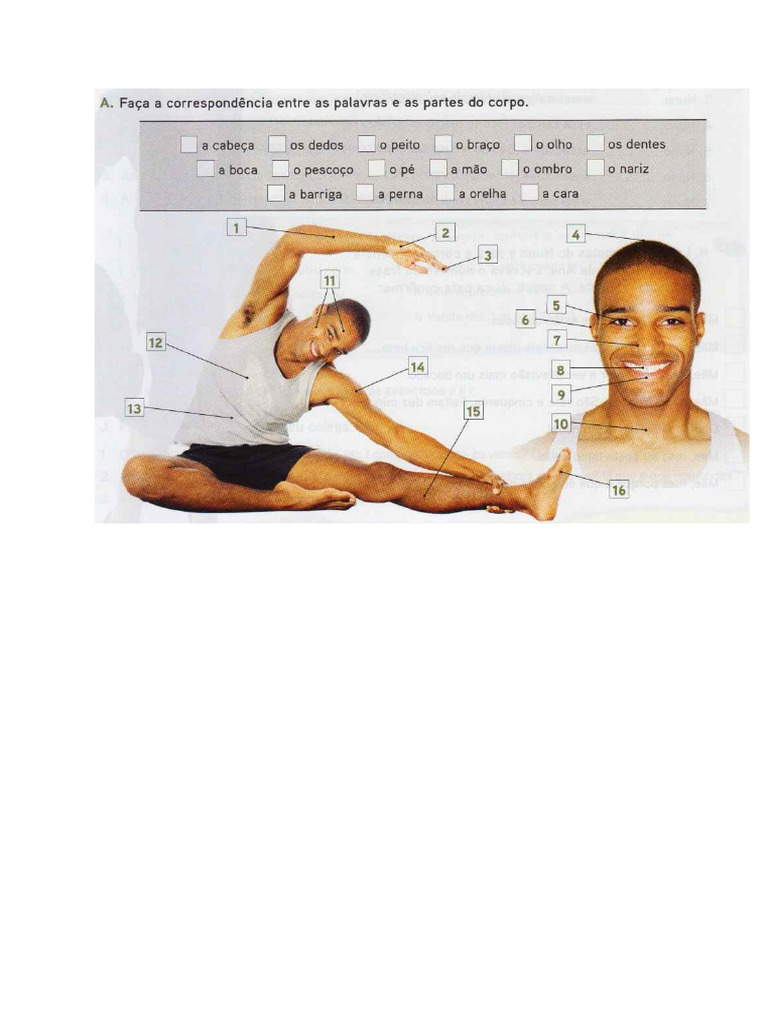 Corpo | PDF