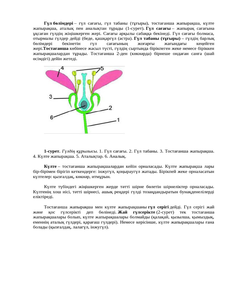 Алена порно видео береді