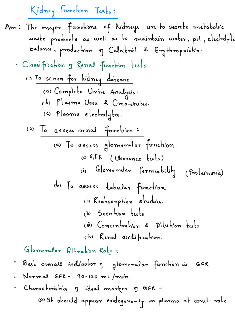 Kidney Function Tests Overview | PDF | Kidney | Urology