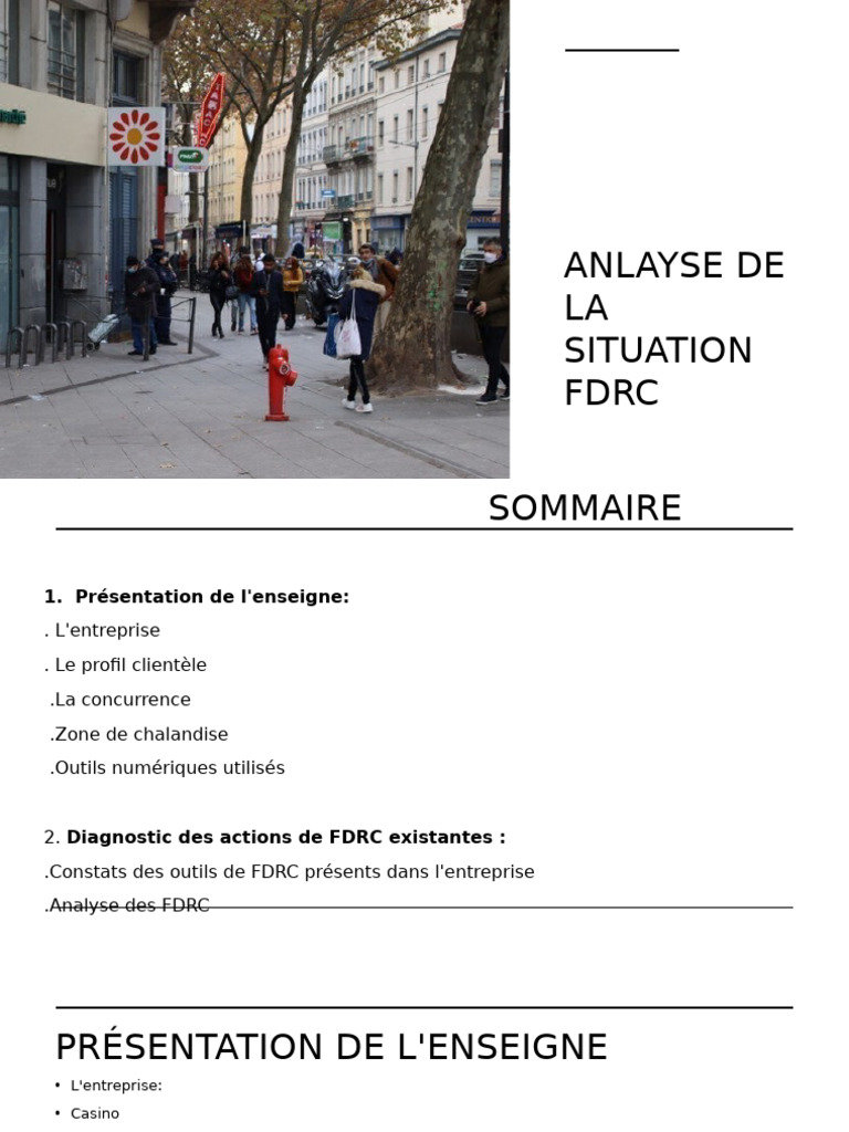 Analyse du Marketing Digital FDRC | PDF