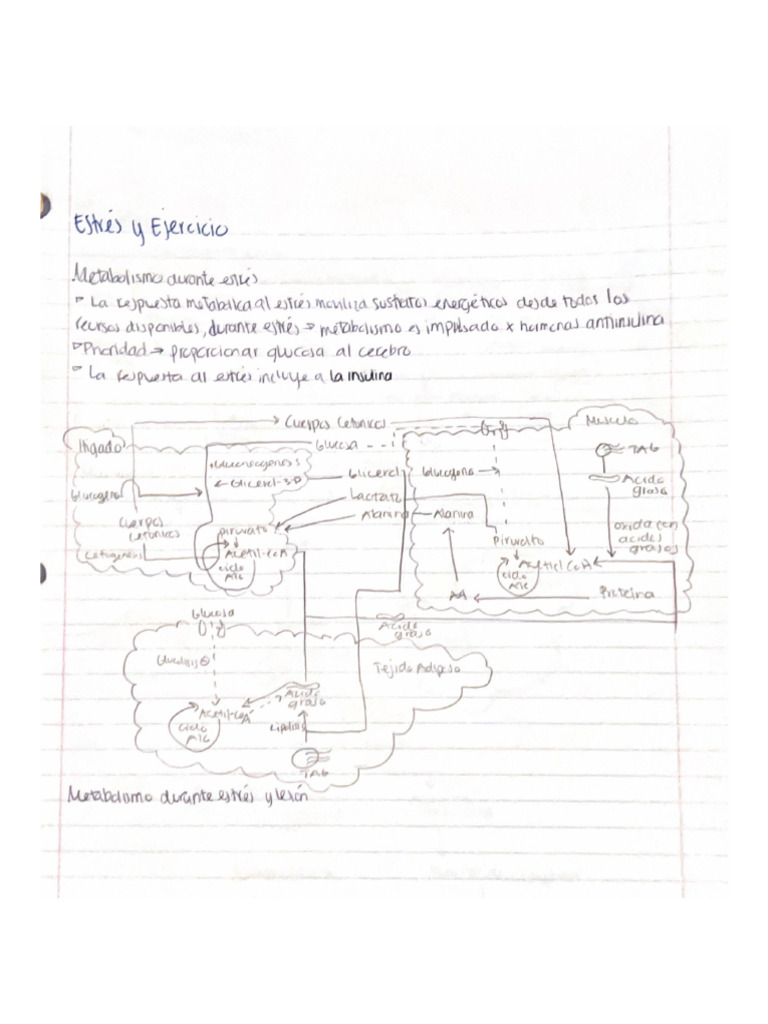 Lec Previa 16 | PDF