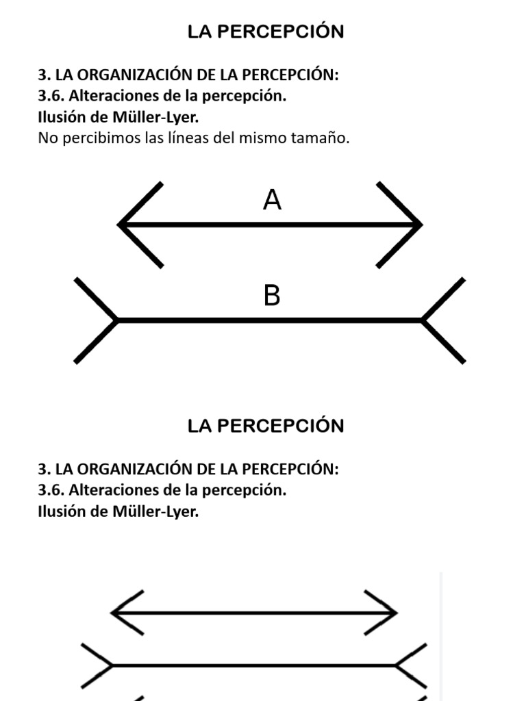 La Percepción 2 Parte Pdf Percepción Percepción Visual