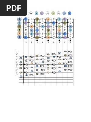 Guitar Neck